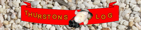 Thurston's Log
