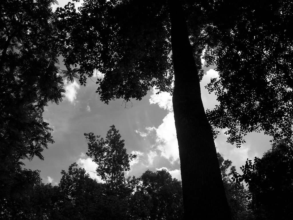 Photograph by Richard Schultz, 05.17.06