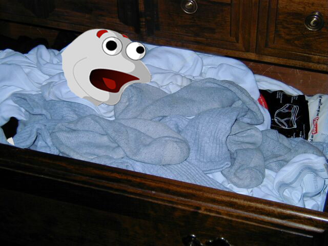 terrorsock