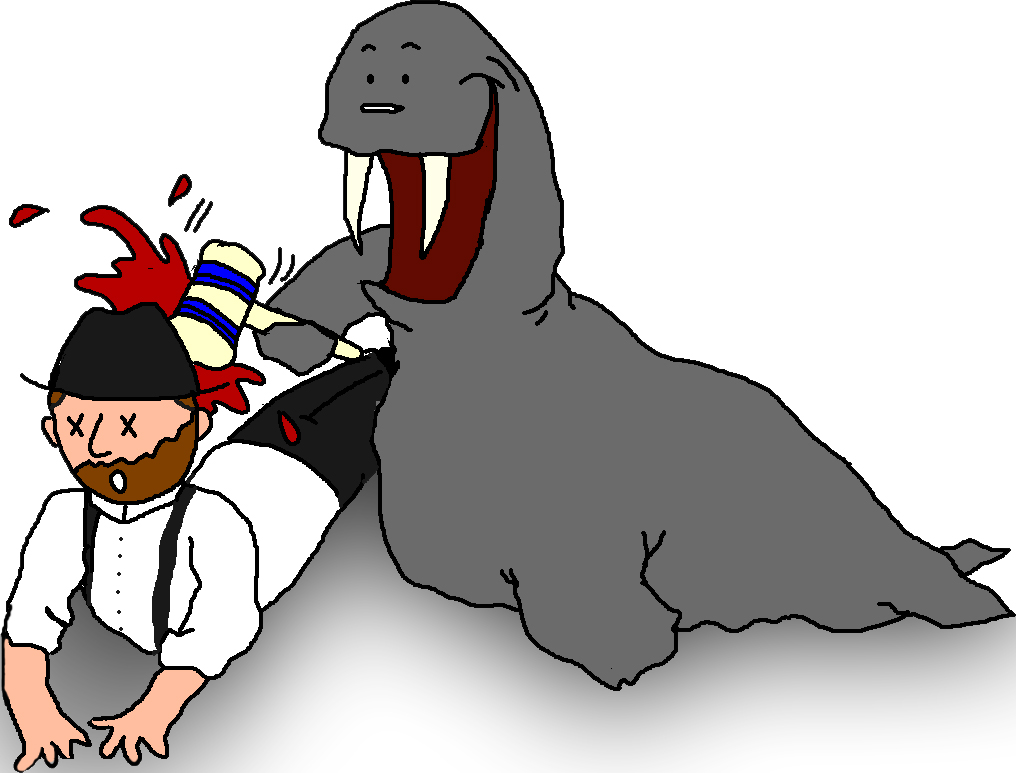 Walrus